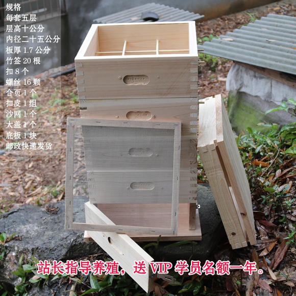 最新格子箱养蜂动态概览